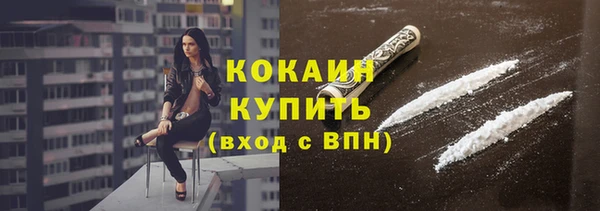 эйфоретик Няндома