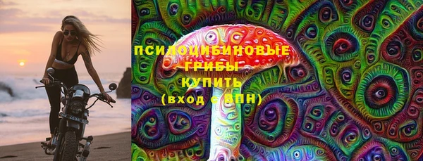 мет Ельня