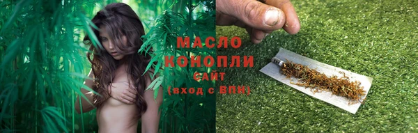 эйфоретик Няндома