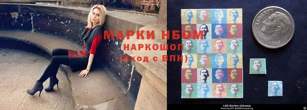 эйфоретик Няндома