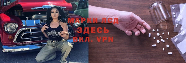 эйфоретик Няндома