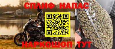 СК Донецк