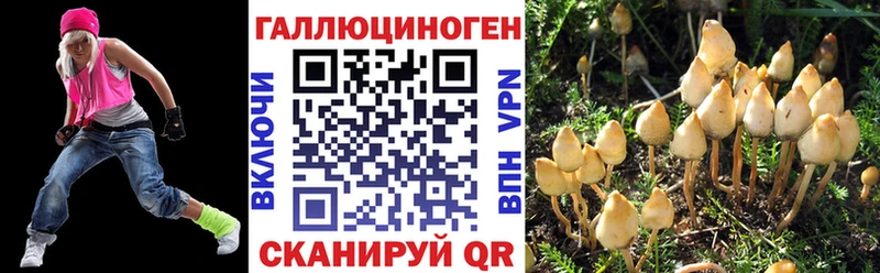 Псилоцибиновые грибы MAGIC MUSHROOMS  блэк спрут   Куйбышев 