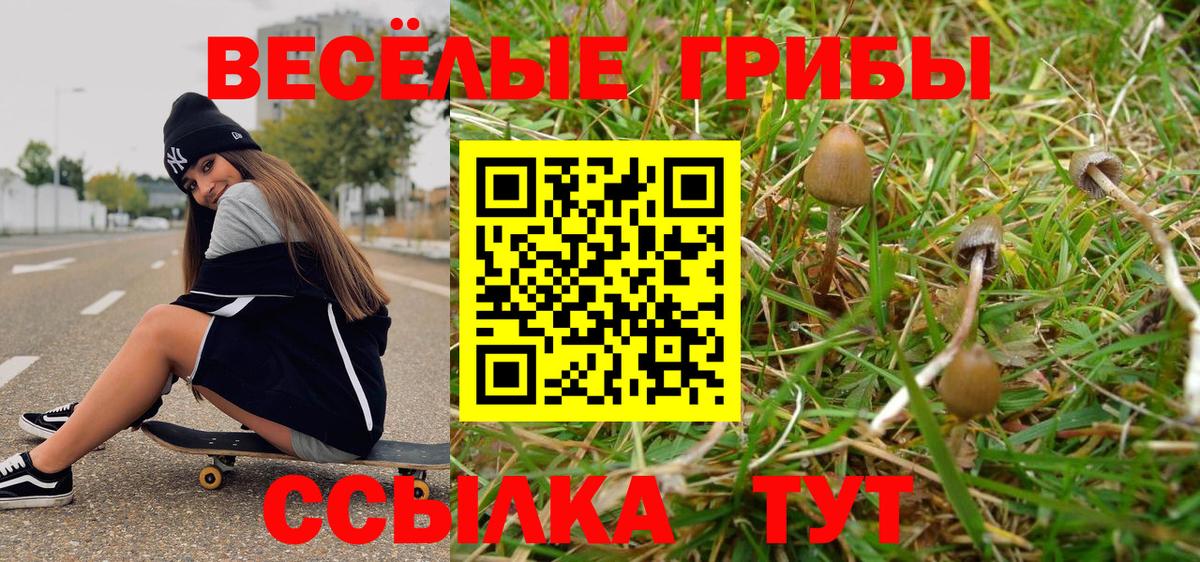 Галлюциногенные грибы Cubensis Куйбышев